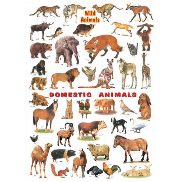 برچسب آموزشی حیوانات اهلی و حیوانات وحشی