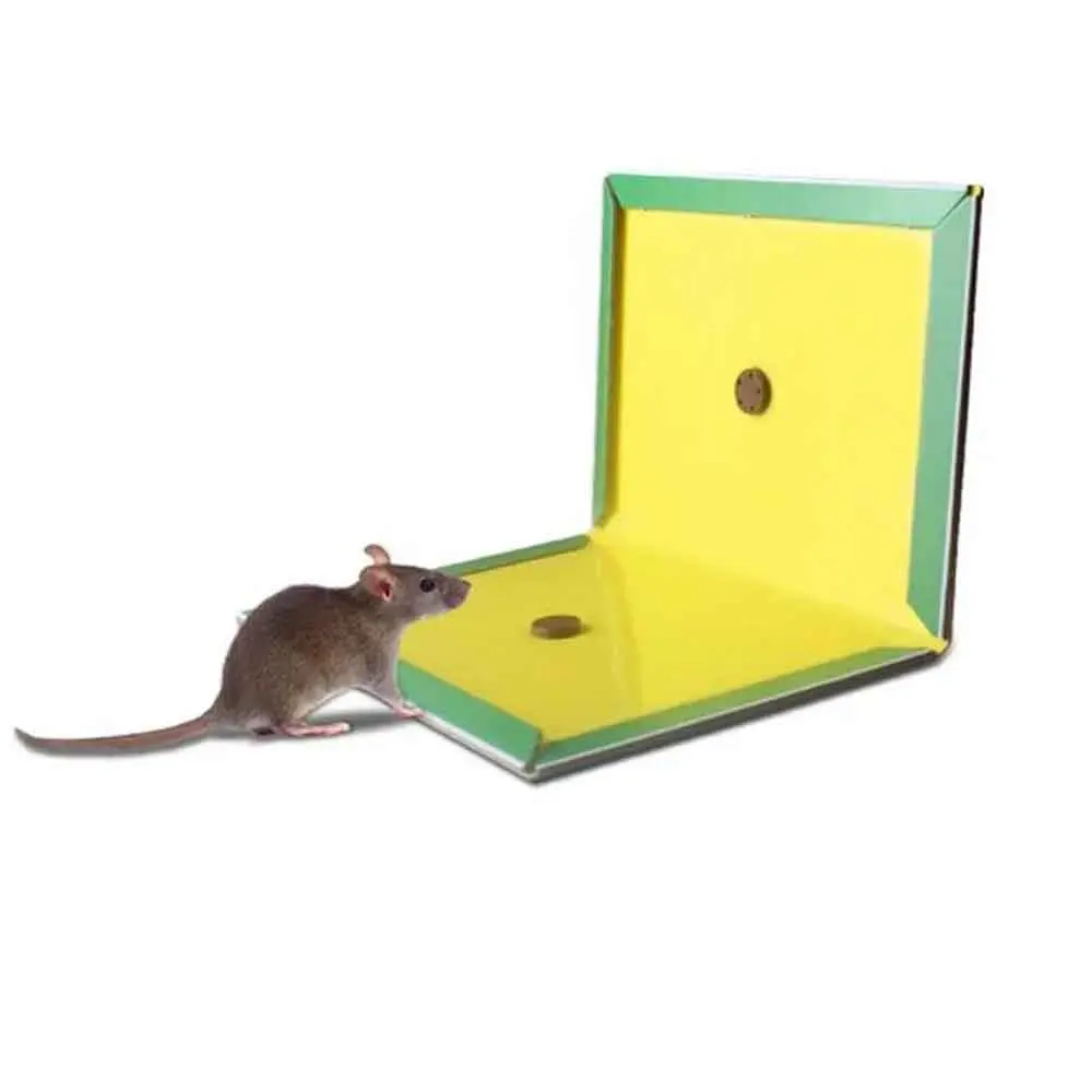 چسب تله موش مدل کتابی