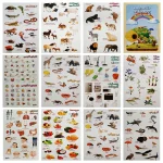 دفترچه برچسب های آموزشی 10 برگی شامل (حیوانات، گیاهان، میوه ها، اعضای بدن و وسایل)